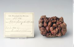 Foto von Calcit (Fasriger Kalksinter, "Sprudelstein") (NHMW-MIN-Ab545)